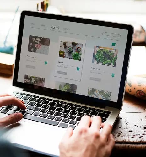Forms, CTAs & Landing Pages
