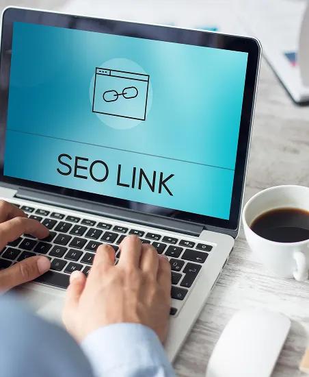 05. Authority Building & Link Acquisition